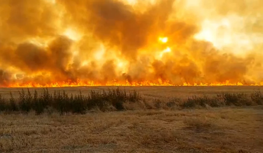 De la ce ar fi pornit incendiile de vegetaţie din ţară. Pompierii se luptă cu flăcările de zile întregi