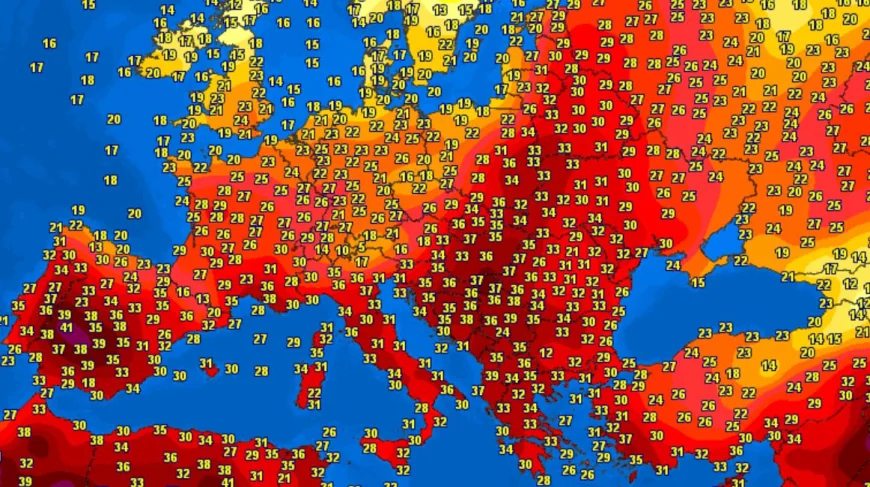 Valurile de căldură afectează simultan multe regiuni ale lumii. Unde au fost 50 de grade Celsius și cât de cald a fost în Europa