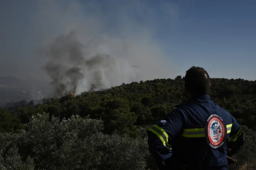Incendiu de proporții în apropierea Atenei. Pompierii sunt îngrijorați de canicula din zilele următoare