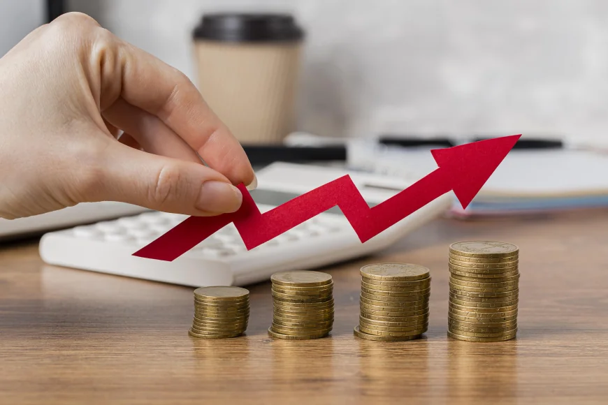Când crede ministrul de Finanțe că-și va reveni economia. „Avem resursele și ingredientele să reușim într-o perioadă scurtă”