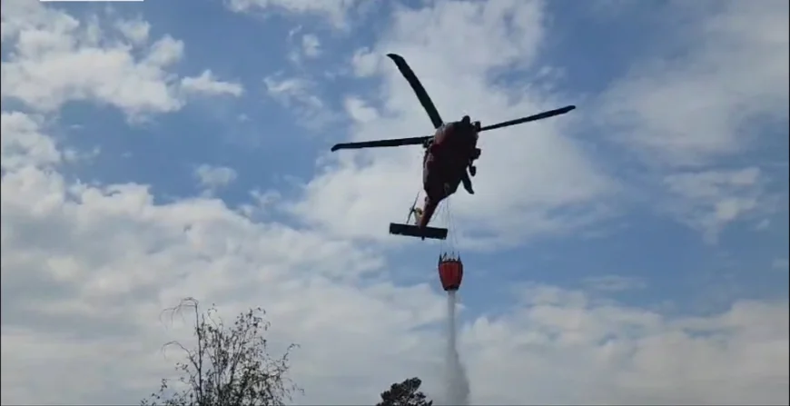 Incendii puternice de vegetație în România: 700 de hectare afectate doar în Tulcea. Intervin elicoptere Black Hawk