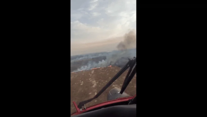 Incendiul de vegetație din Delta Dunării, în zona Chilia, s-a reaprins: elicopter Black Hawk solicitat. De la ce a pornit focul sâmbătă