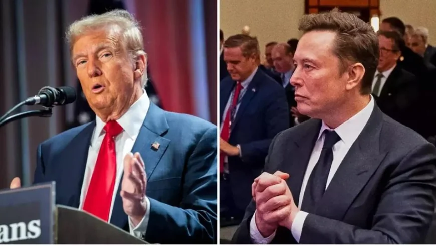 "A luat-o complet pe arătură". Reacţia lui Trump după ce Musk a anunţat că-şi face partid