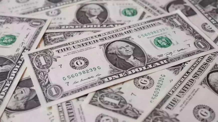 Curs BNR, 7 iulie 2025. Leul românesc pierde mai mult de 2 bani în raport cu dolarul american 
