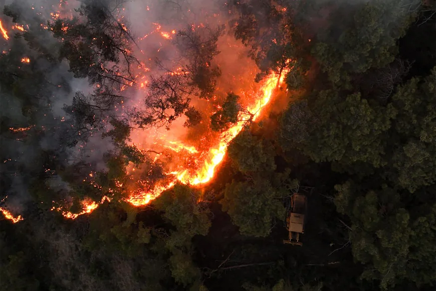 Incendiile devastatoare au distrus 3% din pădurile Siriei. Damascul a cerut ajutorul UE pentru a opri focarele
