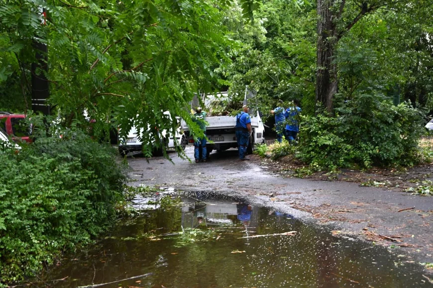 Ungaria, lovită de cea mai mare pană de curent din ultimii 30 ani, în urma vijeliilor ce fac prăpăd în Europa