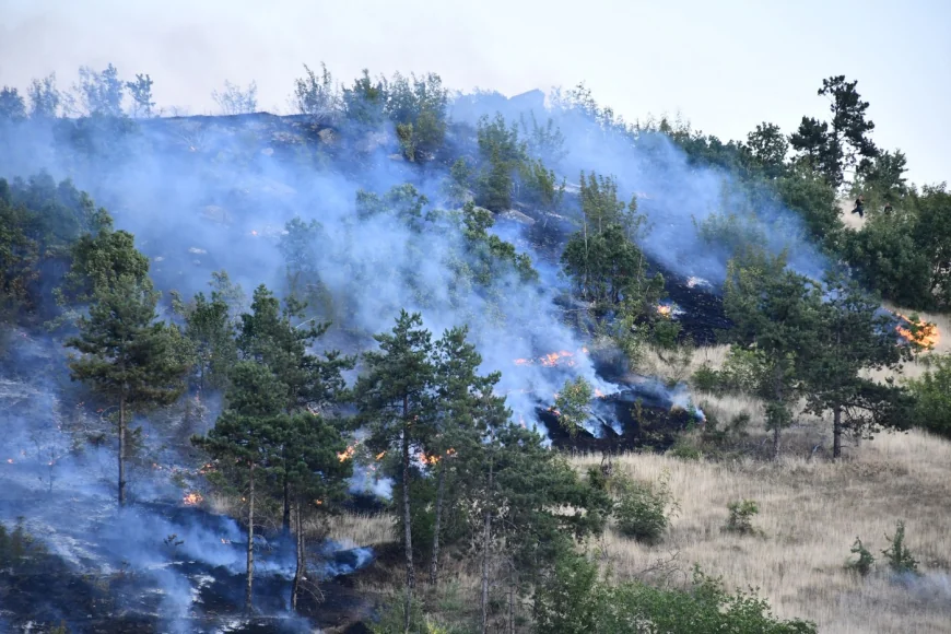 Stare de urgenţă în Macedonia de Nord, din cauza incendiilor de pădure