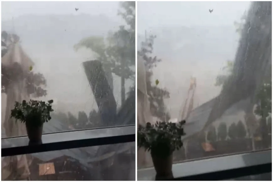 Furtună violentă în Sinaia. 11 oameni răniți, inclusiv turiști străini. Acoperișuri smulse și copaci doborâți