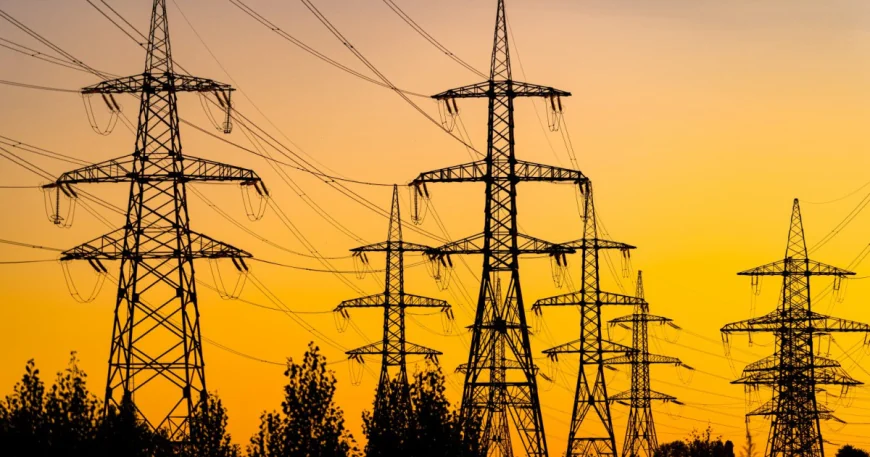 O parte din linia electrică a Transelectrica din județul Timiș a fost semnificativ afectată de furtunile din vestul țării