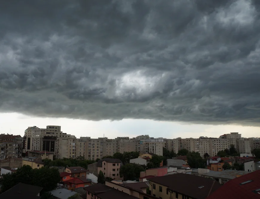FOTO Copaci căzuți în centrul Bucureștiului, în plină atenționare de furtună