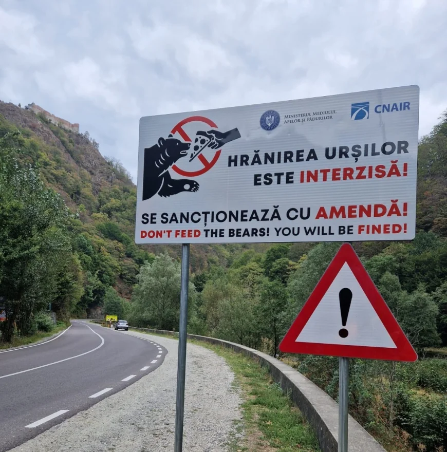 Ministrul Mediului anunță amenzi mai mari și modificări în legislație pentru cei care hrănesc urșii pe marginea drumurilor