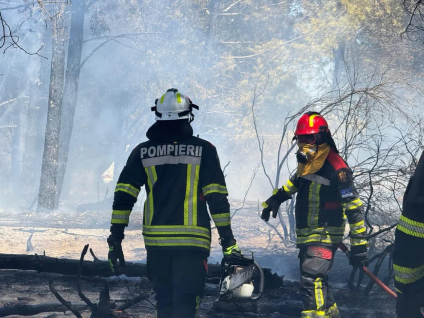 Pompierii români pre-poziţionaţi în Franţa acţionează cu toate mijloacele tehnice pentru stingerea unui incendiu