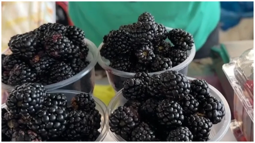 Fructele de pădure româneşti, puţine şi scumpe. Cât costă kilogramul