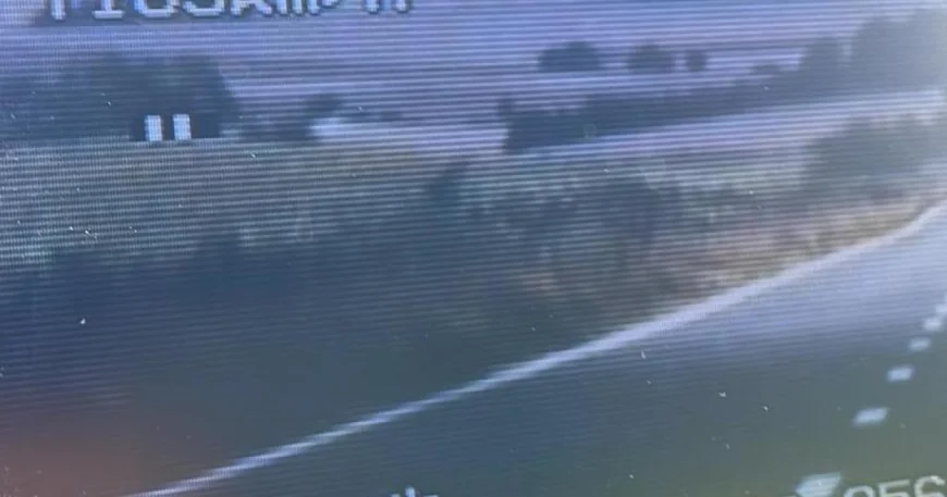 O femeie de 28 de ani a condus o maşină cu o viteză de 163 km/h într-o zonă unde limita era de 50 de km/h. Cum a fost sancționată