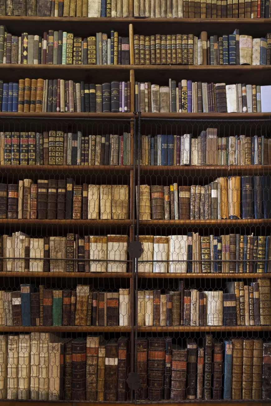 Cea mai veche bibliotecă din Ungaria, invadată de gândaci. 100.000 de cărți rare ar putea fi distruse. Măsuri urgente de dezinsecție