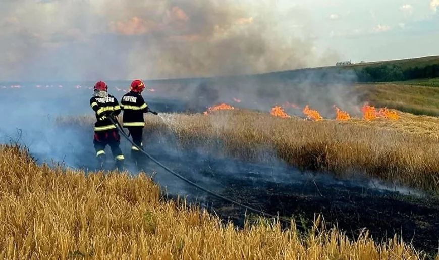 Alertă în Oltenia: 53 de incendii în decurs de 3 zile. Zeci de pompieri se luptă cu flăcările. 750 de hectare mistuite