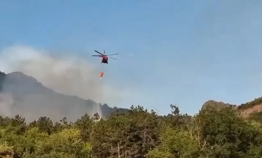 Incendiul de vegetație uscată în județul Tulcea riscă să se extindă la mai multe locuințe. Intervine și un elicopter BlackHawk