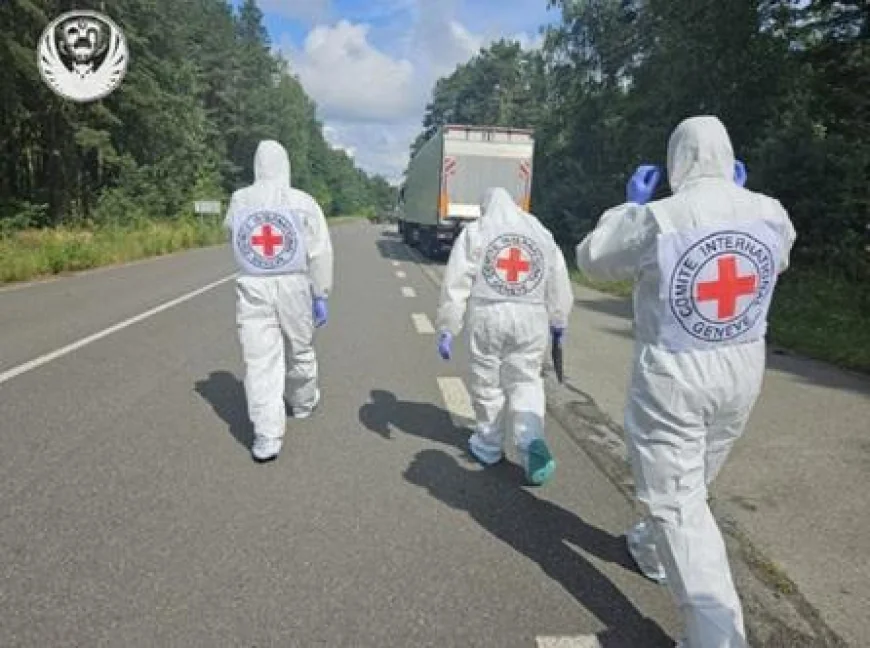 Ucraina şi Rusia au făcut schimb de cadavre. Moscova a predat 1.000 de morţi, Kievul a primit 19 cadavre