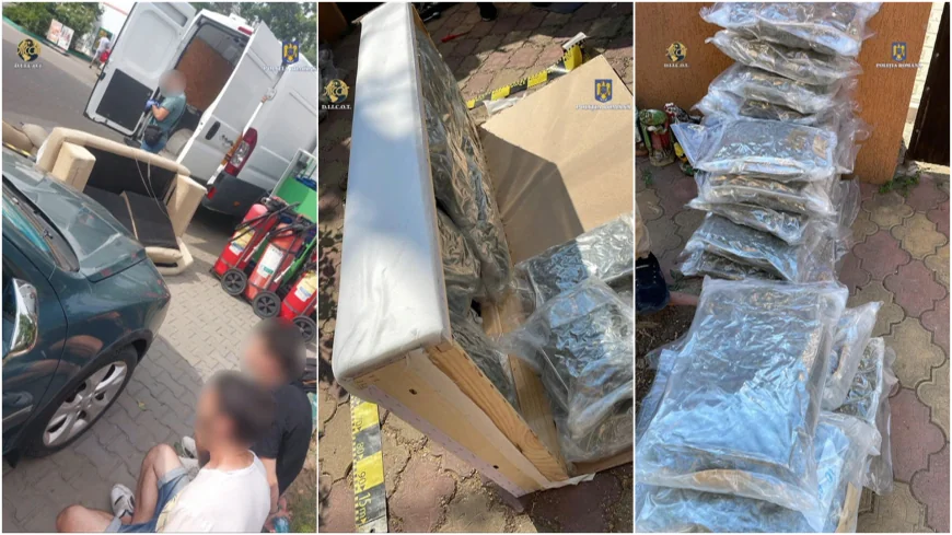 Droguri ascunse într-o canapea. Doi tineri din Teleorman, prinși în flagrant cu 53 kg de canabis în Capitală