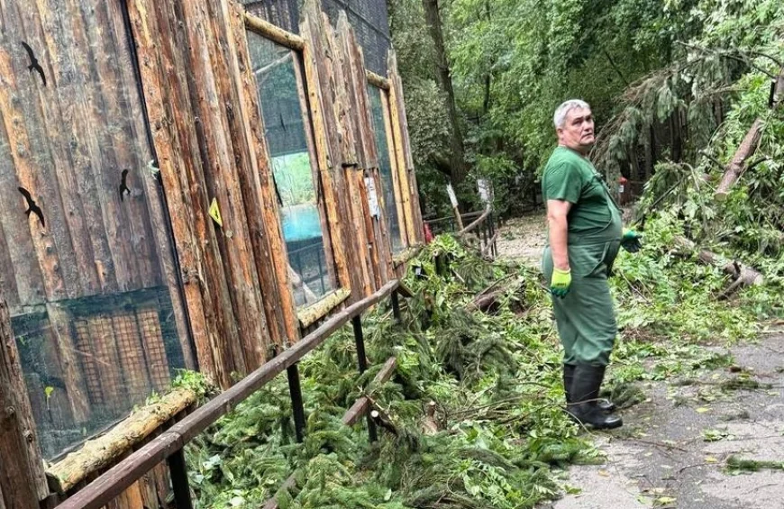 Grădina Zoologică Bucureşti, închisă temporar din cauza furtunii de ieri. Care este starea animalelor