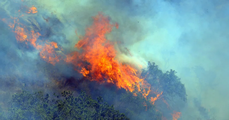 Cod roșu de incendii în Italia. MAE a transmis o atenționare de călătorie
