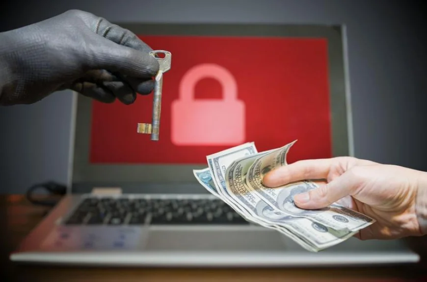 Peste 100 de atacuri de tip ransomware în România în 2024: Lista cu primării, spitale și firme cărora li s-au cerut bani pentru a-și recupera datele criptate